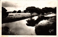 Ares Les Reservoirs a Poissons France