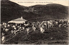 Paturage des Monts Jura -
													39 Jura
												
