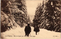 Bois de Sapins par temps de neige -
													39 Jura
												