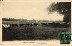 La Motte-Beuvron Vaches au Paturage France -
													41 Loir et Cher
												
