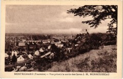 Montrichard Vue prise a la sortie des Caves France
