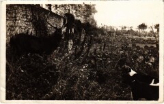 Salbris Chasse a courre en Sologne France à Salbris