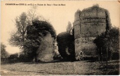 Chambon s Cisse Ruines de Bury, Tour du Nord France -
													41 Loir et Cher
												