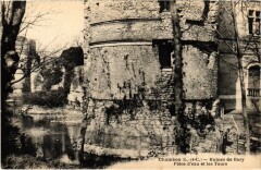 Chambon Ruines de Bury France -
													41 Loir et Cher
												