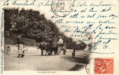 Folklore une attelage Auvergnant