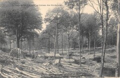Bois De Clamart - Cabane De Bucherons -
																					92140 Clamart
																			