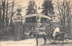 Forges Les Bains - L'Hopital - Attelage à Forges-les-Bains
