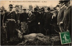 Fontainebleau Chasse a Courre en Foret, La Mort France à Fontainebleau