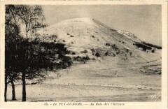 Puy de Dome Au Bois des Charmes France