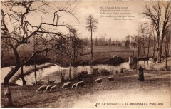 Auvergne Moutons au Paturage France -
													63 Puy de Dôme
												