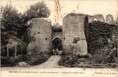 Env d' Egreville Chateau fort France