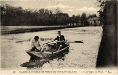 Fontainebleau Le Cerf dague au Breau France à Fontainebleau