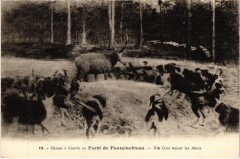 Fontainebleau Dix-Cors tenant les Abois France à Fontainebleau