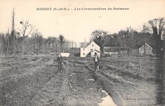 Moigny - Les Cressonnieres Du Ruisseau