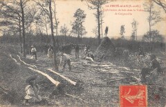 La Ferte Alais - Exploitation De Bois Dans La Vallee De Guigneville - Met