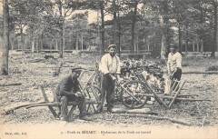 Foret De Senart - Bucherons De La Foret Au Travail - Metier