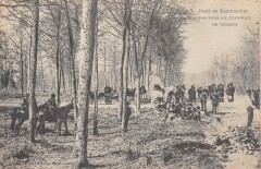 Foret De Rambouillet Rendez Vous Au Carrefour De Crussol à Rambouillet
