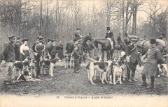 Chasse A Courre Avant Le Depart