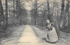 Bois De Clamart Route Forestiere -
																					92140 Clamart
																			