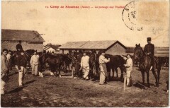 Militaire - Camp de Sissonne - Le pansage aux Thuillots à Sissonne