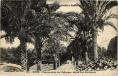 Nice- Promenade du Chateau, Allee des Palmiers France