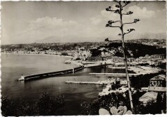 Nice- France