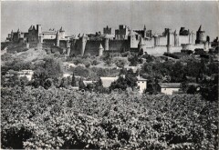 Carcassonne Vue d'ensemble de la Cite France à Carcassonne