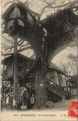 Robinson - Le vrai Arbre