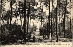 Charente-Inf. - Ile d'Oleron - Saint-Trojan - Dans les Plus -
													17 Charente Maritime
												