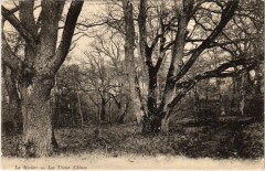 La Riviere - Les Vieux Chenes