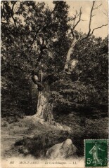 Mont-Aigu - Le Charlemagne