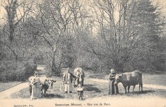 Sanatorium Minoret Une Vue Du Parc