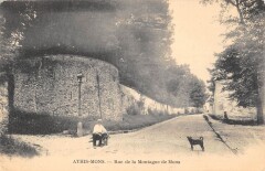 Athis Mons Rue De La Montagne De Mons -
																					91200 Athis-Mons
																			