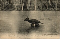 Compiegne - Chasses de Monseigneur le Prince Murat à Compiègne