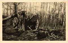 Verdun - Gesprengtes Franz. Geschutz im Walde von Autrey Ostl. à Verdun