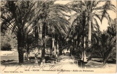 Nice- Promenade du Chateau, Allee des Palmiers France