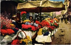 Nice- Marche aux Fleurs France -
													06 Alpes Maritimes
												