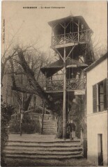 Robinson - Le gros Chataignier