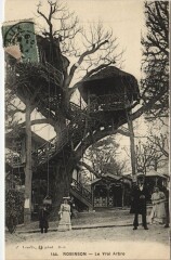 Robinson - Le Vrai Arbre