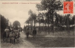 Plessis-Trevise - Avenue de Chenneviéres