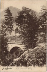 Foret de Valdonielle