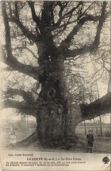La Loupe - Le Gros Chene à La Loupe
