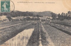 La Ferte Alais Industrie Du Pays Les Cressonnieres
