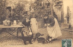 Le Dejeuner Des Chats A Jarcy