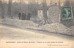 Montgeron Foret De Senart Cabane Ou Se Sont Caches Les Bandits -
																					91230 Montgeron
																			