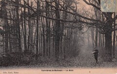 Verrieres Le Buisson Le Bois - Cpa Email -
													91 Essonne
												
