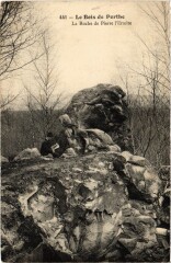 Le Bois de Perte - La Roche de Pierre l'Ermite -
													77 Seine et Marne
												