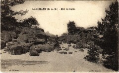 Larchant Mer de Sable à Larchant