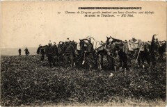 Militaire Chevaux de Dragons gardés pendant que leurs