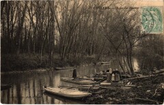 Chelles Bras de Marne à Chelles